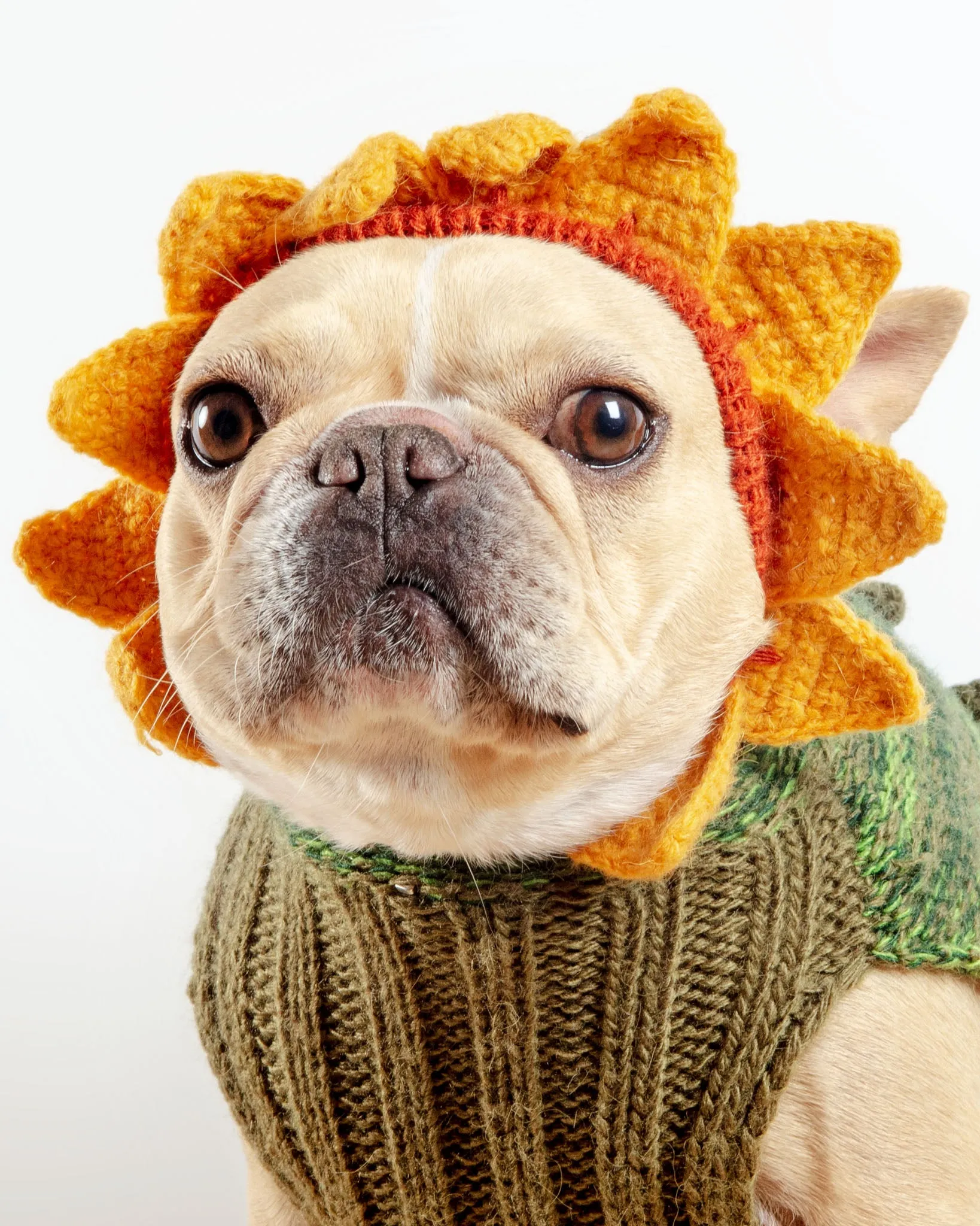 Sunflower Hand-Knit Dog Sweater (DOG & CO. Exclusive)